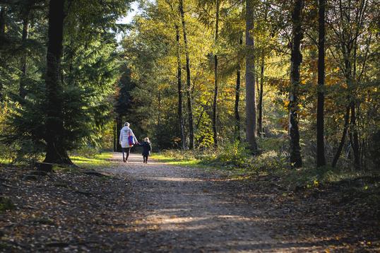 Wandelen in de natuur